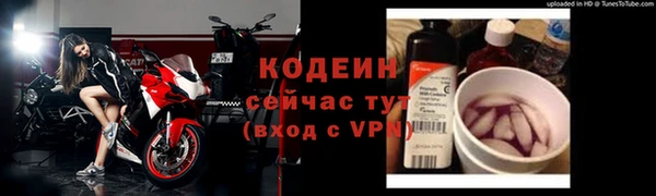 хмурый Алексин