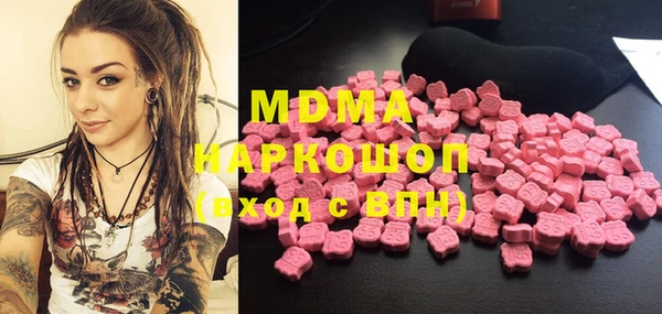 хмурый Алексин