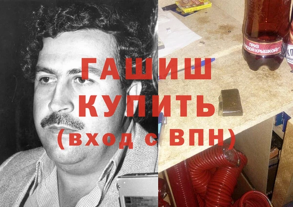 хмурый Алексин