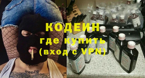 хмурый Алексин