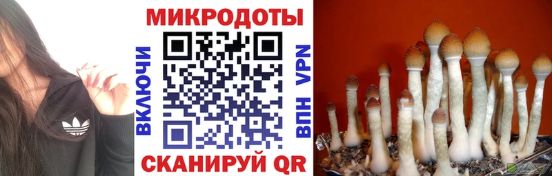 Псилоцибиновые грибы MAGIC MUSHROOMS  Новочебоксарск 